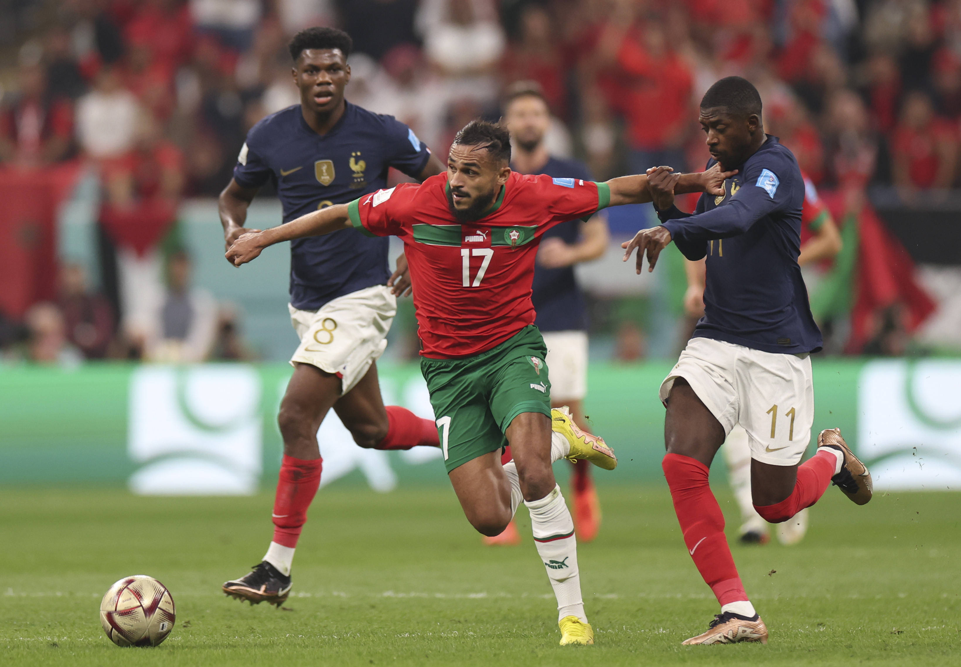 想要填补核 想要填补核